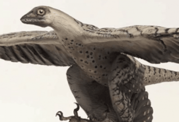 25 Strangest Prehistoric Creatures To Roam The Earth