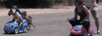 Dogs are faster than humans