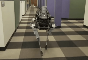 Introducing Spot  - A Robot Dog